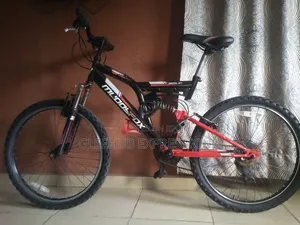 10-Year and Above Bike