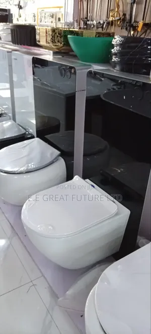 Conceal Water Closet W C