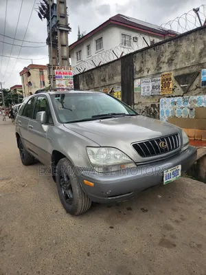 Lexus RX 2003 Gray