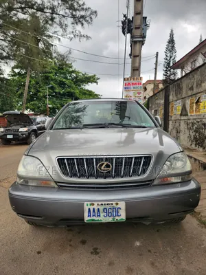 Lexus RX 2003 Gray