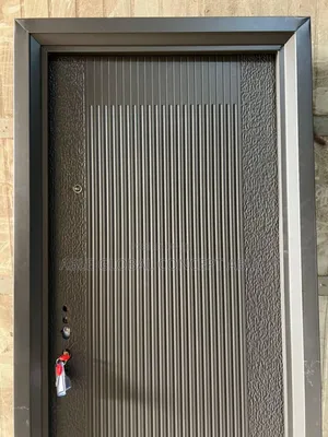 Pure Antirust Steel Door