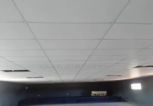 Gypsum Celling/Sp.Celling