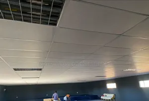 Suspended Ceiling
