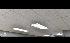 Suspended Ceiling