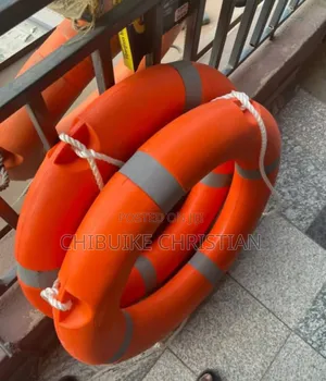 Swimming Pool Floater