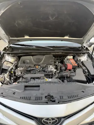 Toyota Camry LE (2.5L 4cyl 8A) 2019 Silver