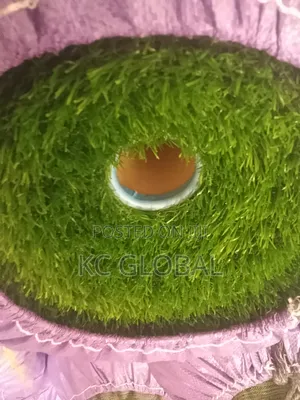 Artificial Grass. 35 Mm Available in Bulk.