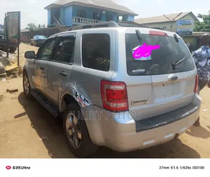Ford Escape 2009 Silver