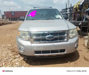 Ford Escape 2009 Silver