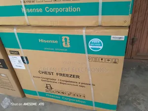 Hisence 300litres Deep Freezer(Low Voltage)