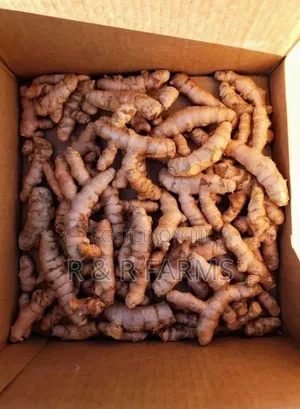 Fresh, Plump Nigerian Ginger Straight From Trusted Farms!