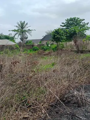 50ft X 100ft Plot Of Land For Sale In Benin