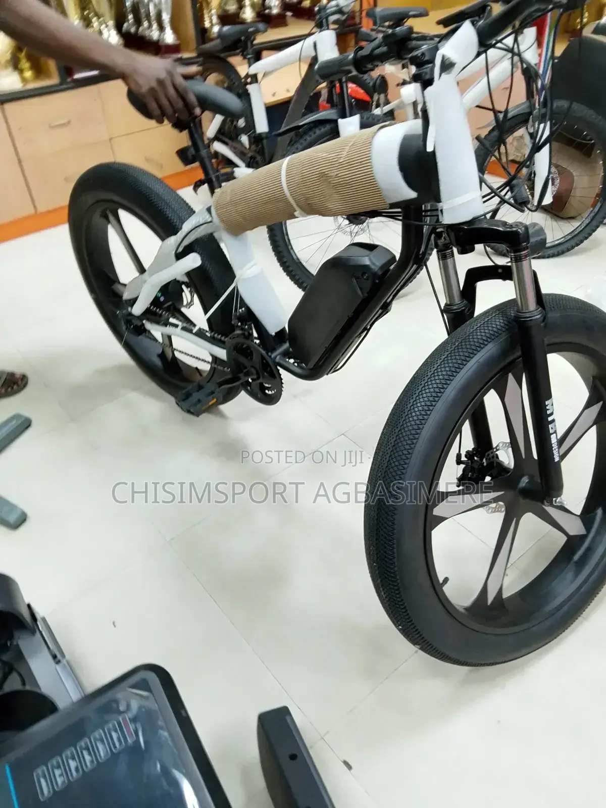 Electric Bike Bicycle