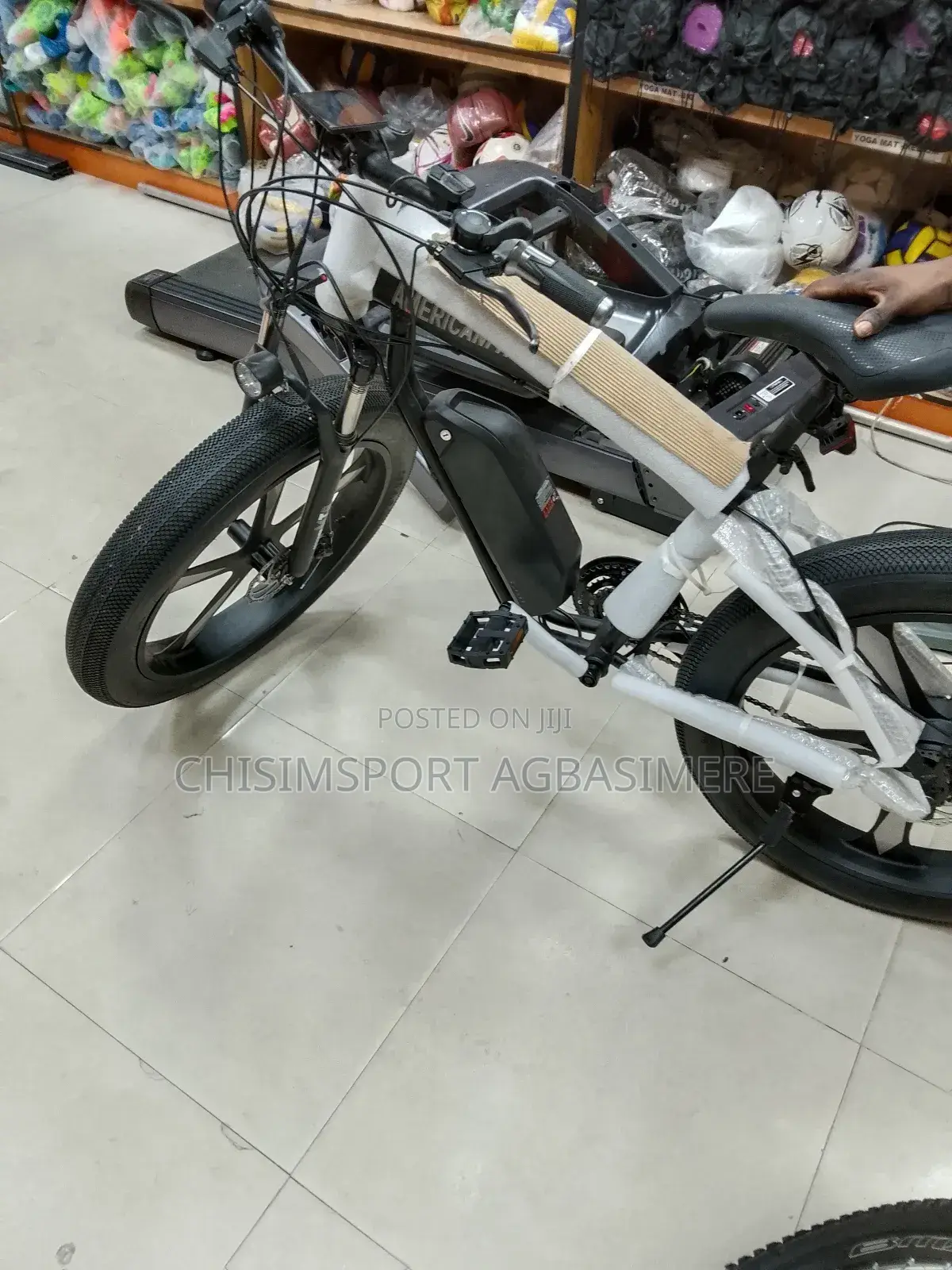 Electric Bike Bicycle