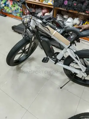 Electric Bike Bicycle
