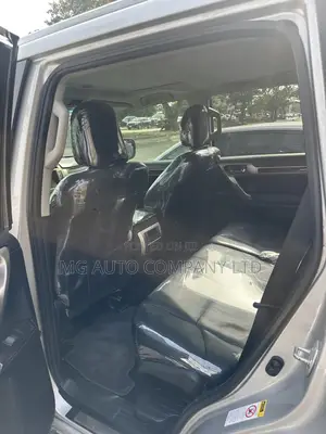 Lexus GX 460 2010 Silver