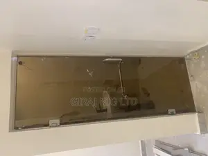 Tinted Brown Glass Bathroom Door
