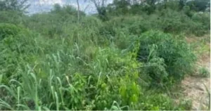 Land For Sell