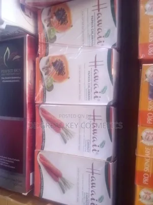 6 Pieces Hawaii Papaya Carrot Soap