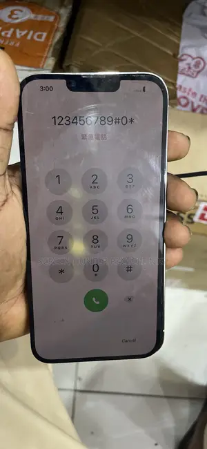 13 Pro Max Screen