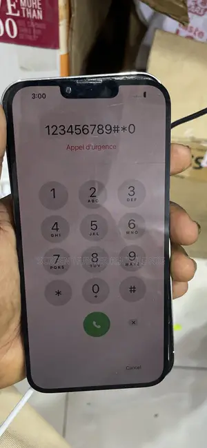 iPhone 13 Pro Max Screen