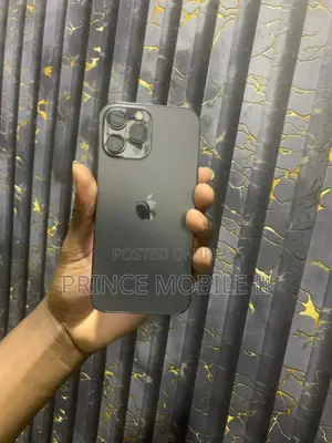 Apple iPhone 13 Pro Max 256 GB Black