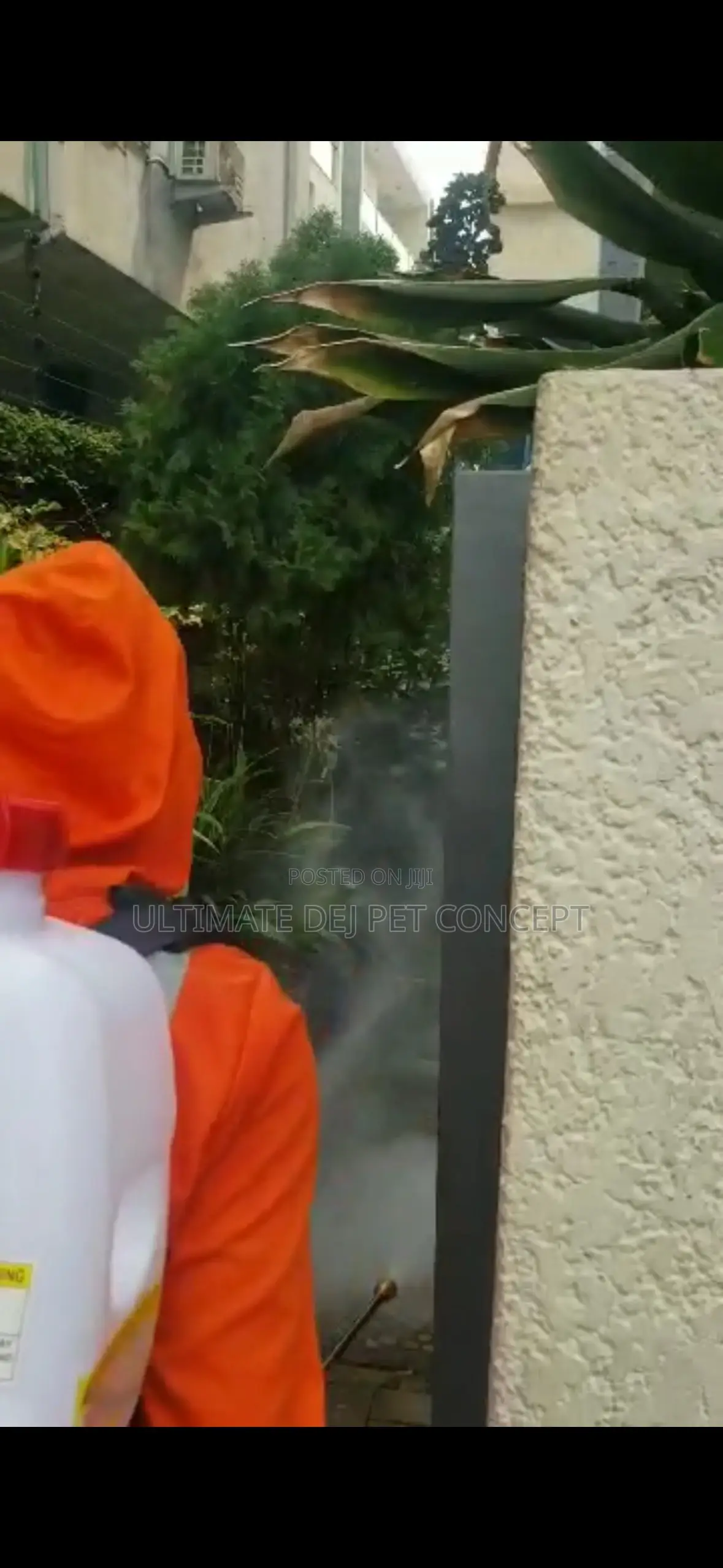 Fumigation And Pest Control Services