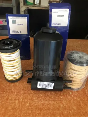 Electric Fuel Pump and It’S Filter