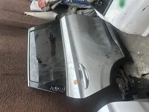 Complete Back Right Door Santafe 2022