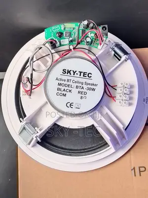 Original Sky-Tec 30watts Big Magnet Ceiling Speaker Single Bluetooth