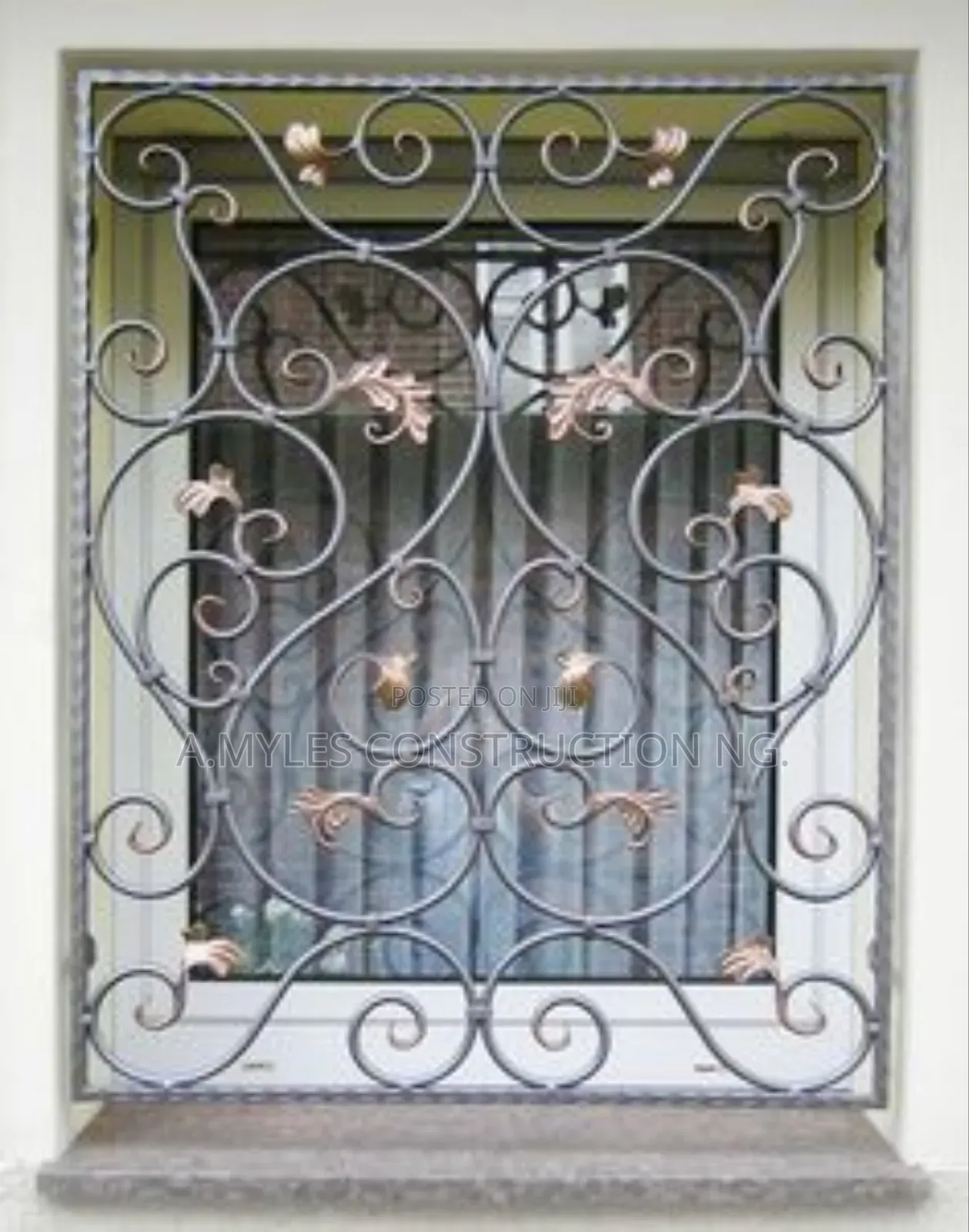 Wrought Iron Window Protector