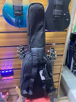Acoustic Gig Bag