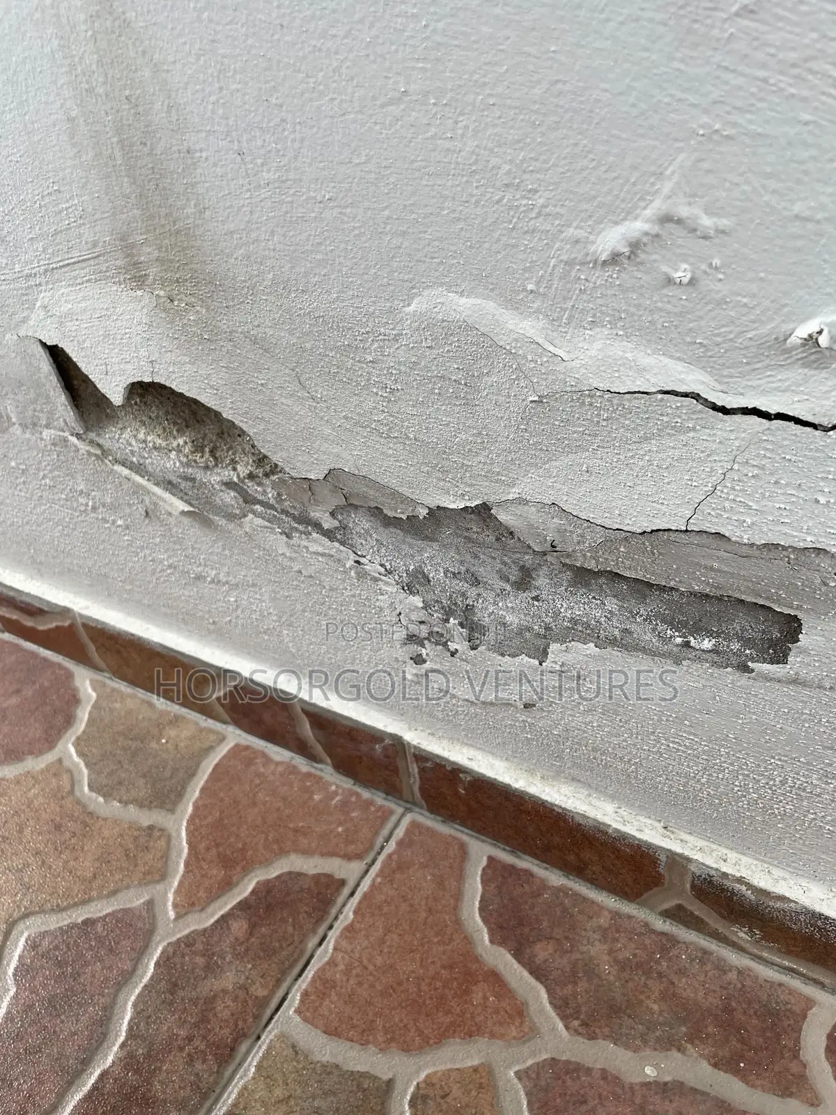 Damp and Paint Defects