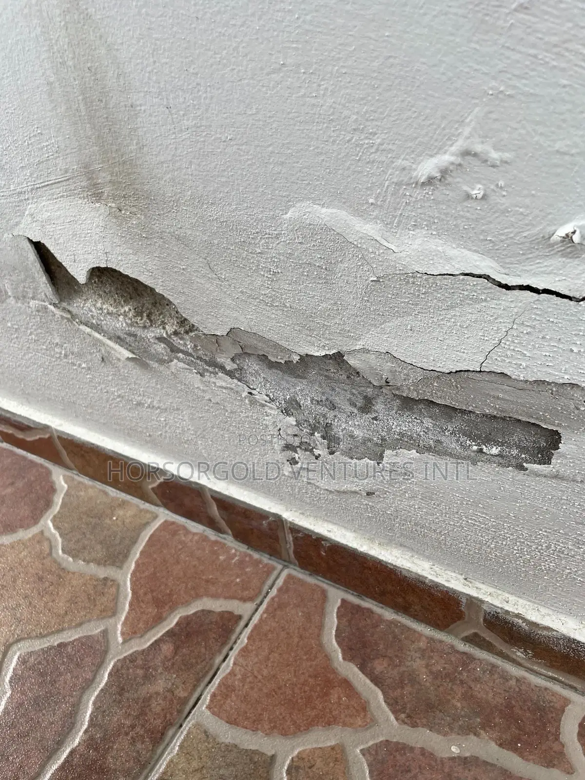 Damp and Paint Defects