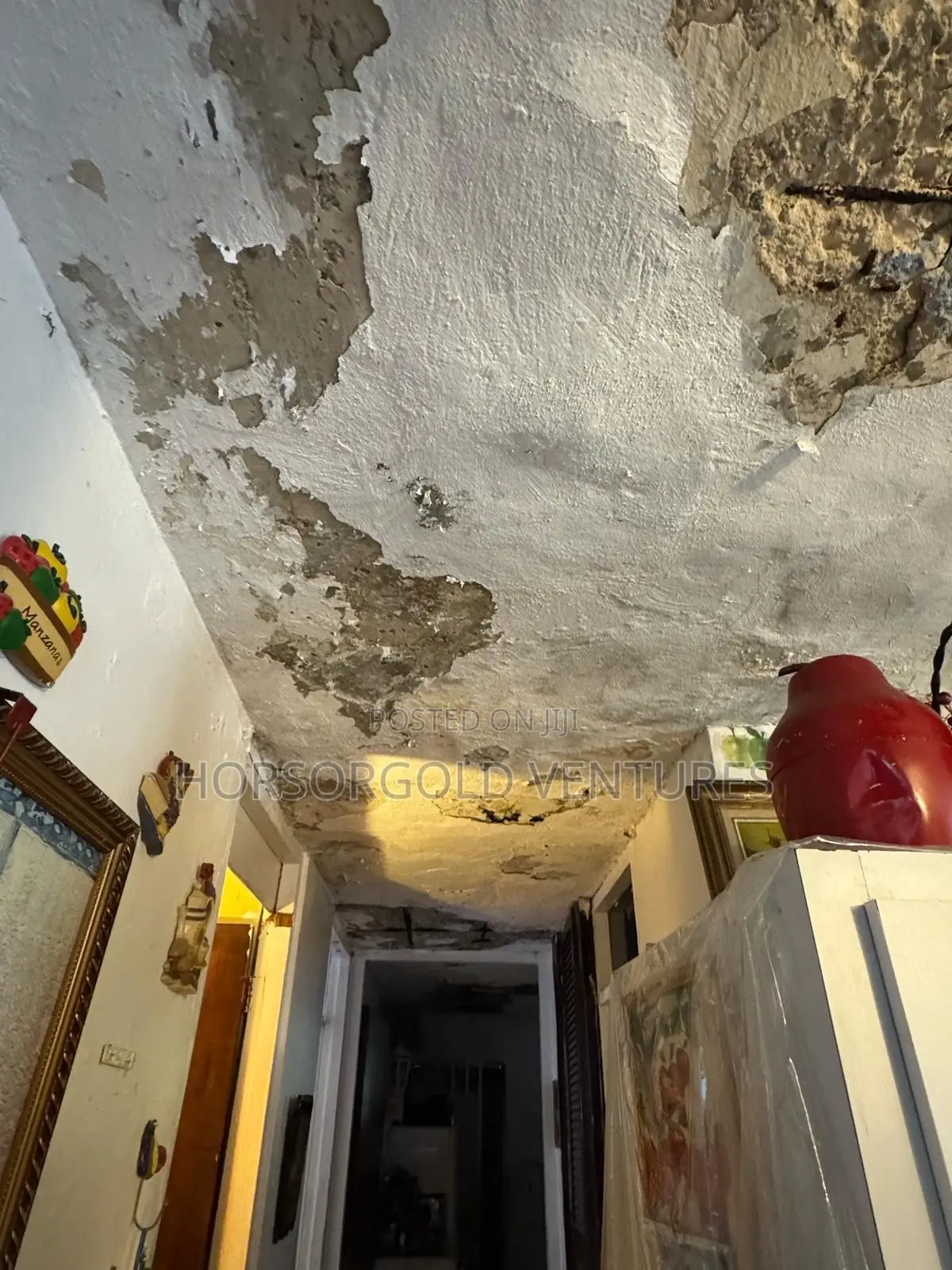 Damp and Paint Defects
