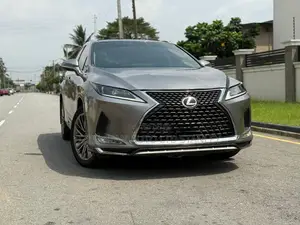 Lexus RX 2022 Gray