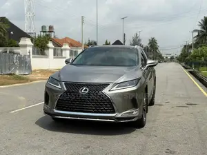 Lexus RX 2022 Gray