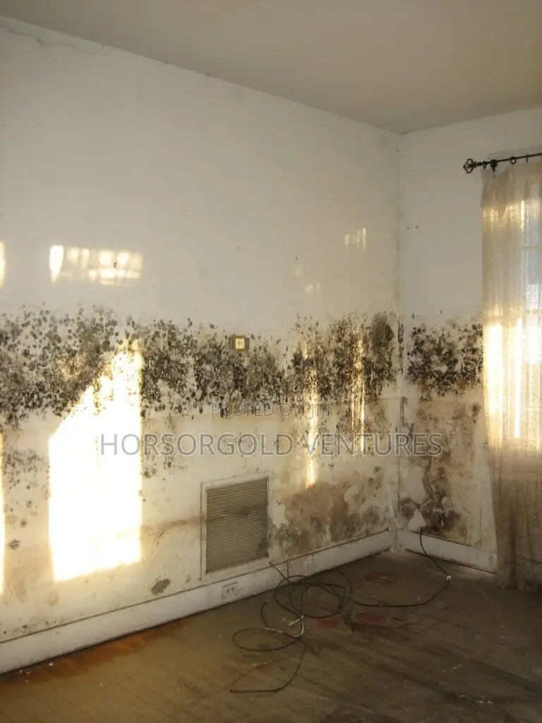 Wall Defects Remedy