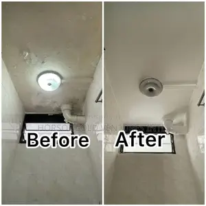 Wall Defects Remedy