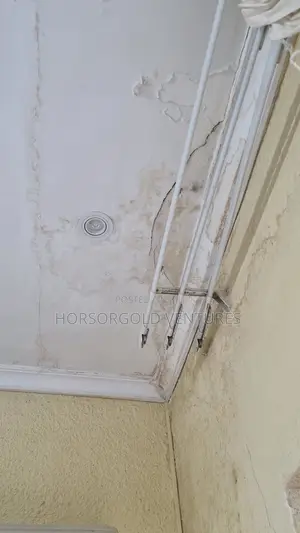 Wall Defects Remedy