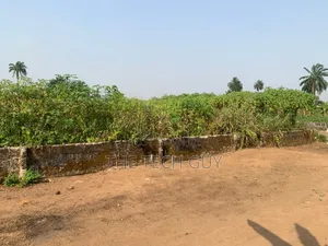 3 Plots of Land