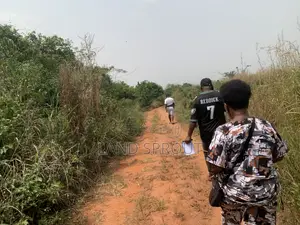 Acres of Farm Land at Obafemi-Owode for Per Acre