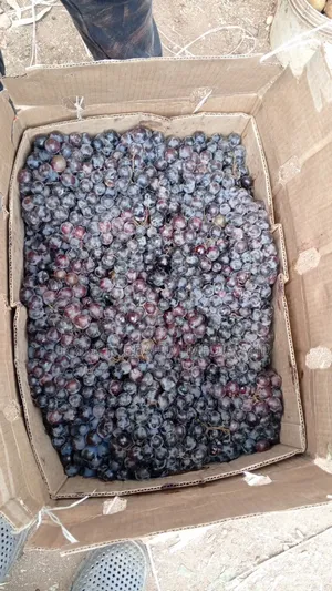 Fresh Grapes