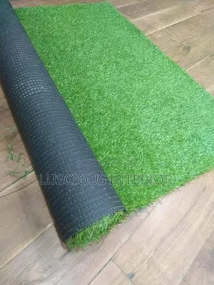 Carpet Grass