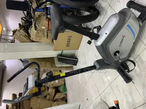 Medium Magnetic Bike