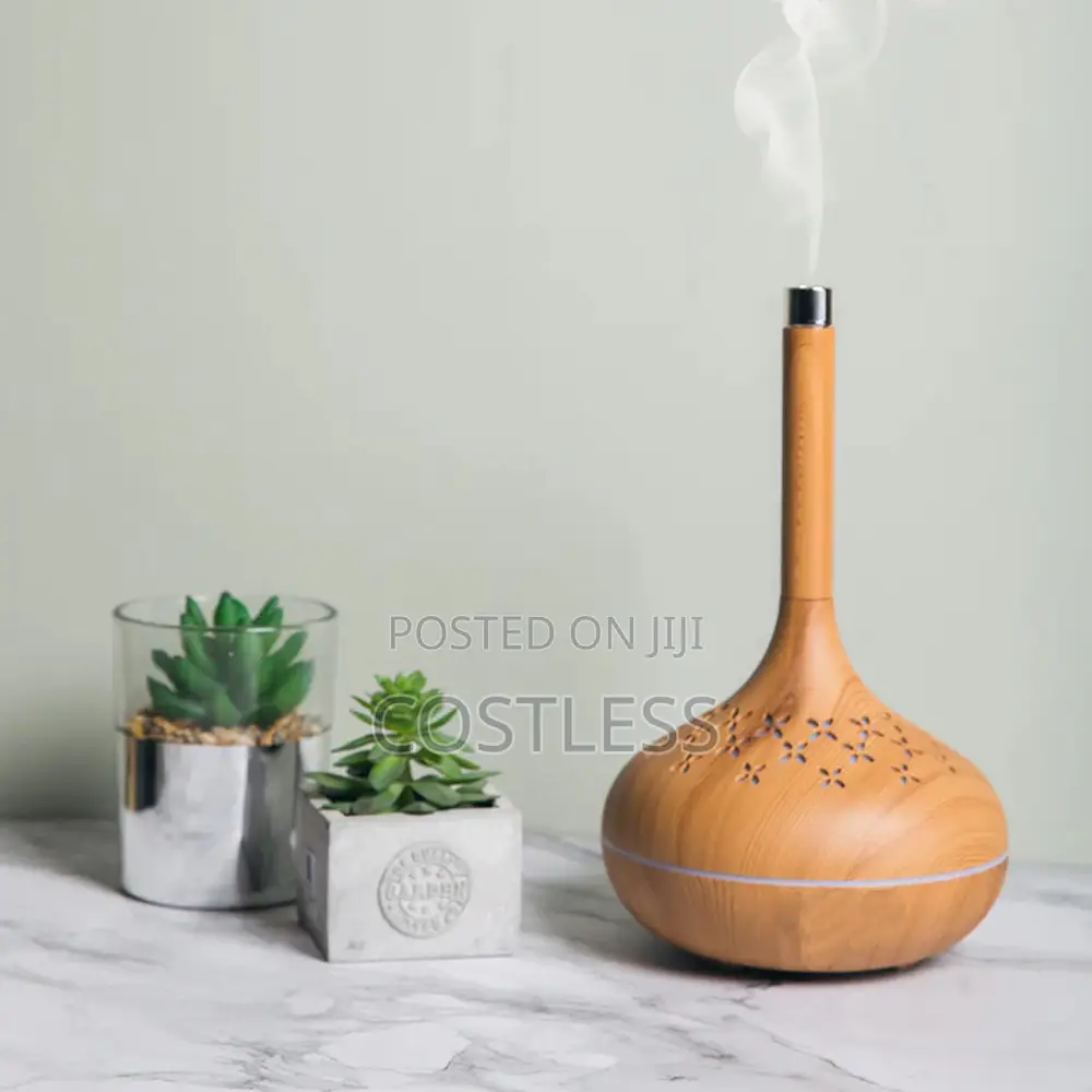 Modern Aroma Bloom Humidifier