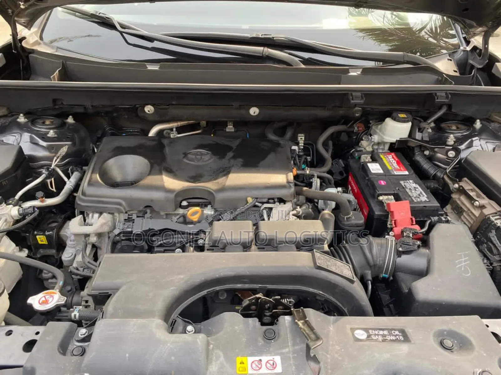 Toyota RAV4 XLE 2021 Gray