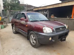 Hyundai Santa Fe 2003 Red