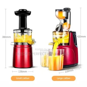 Strong Slow Juicer