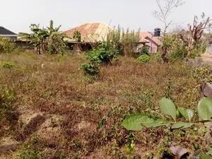 Prime Residential Land in a Developed Government Estate – Osogbo